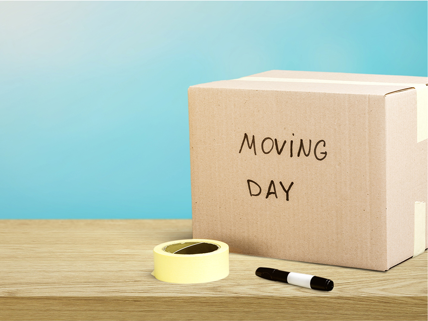 moving essentials